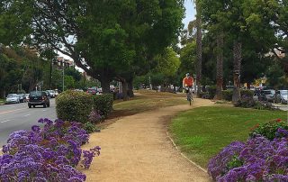 11724 Culver’s Guide To The Westside’s Best Parks And Bike Paths